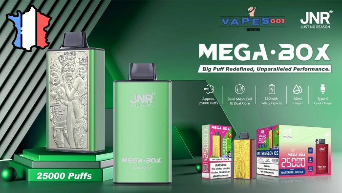JNR - La referencia en Puff desechable: los modelos esenciales para descubrir en Vapes001 💨✨